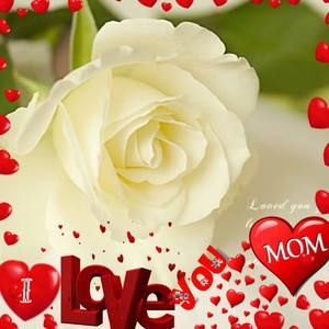 Meet your Posher, Ivy